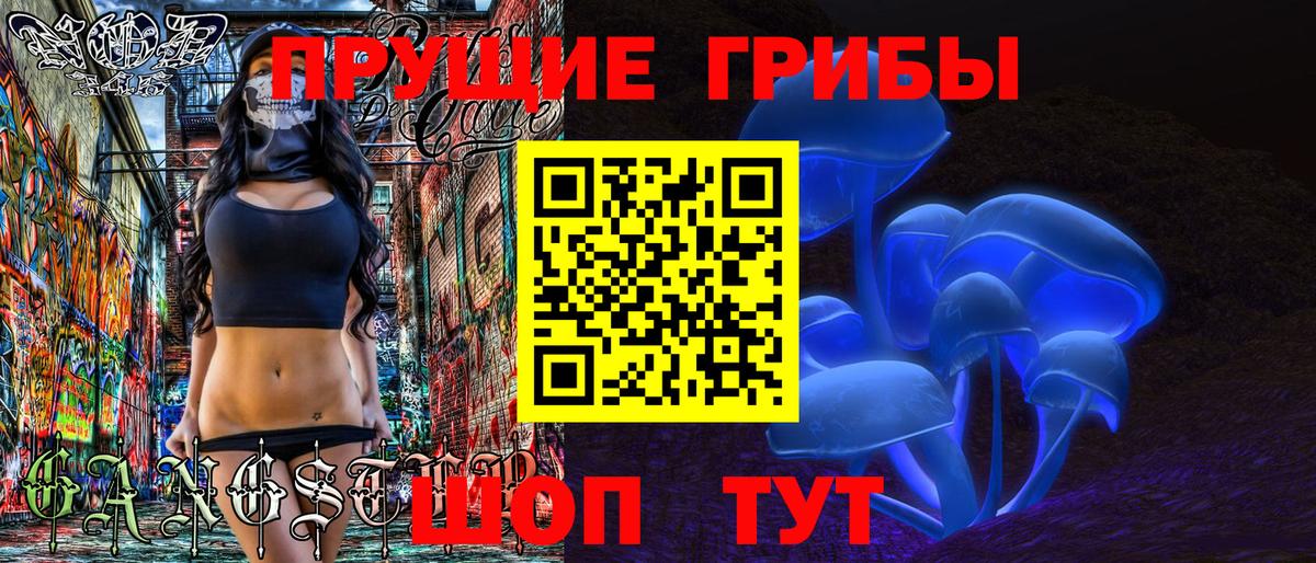 Советск  Галлюциногенные грибы прущие грибы  Вход с VPN 