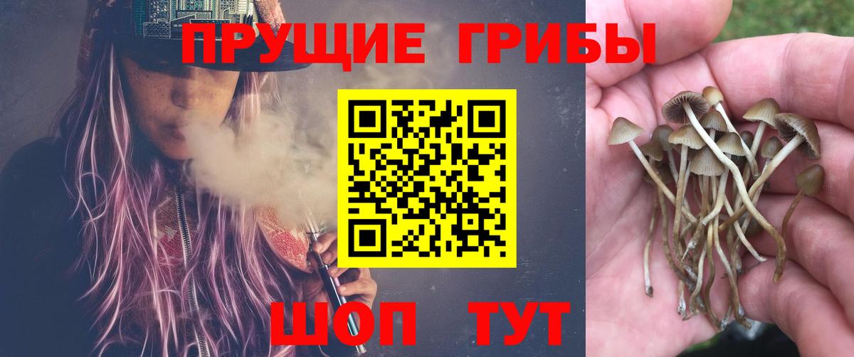 Псилоцибиновые грибы прущие грибы Советск